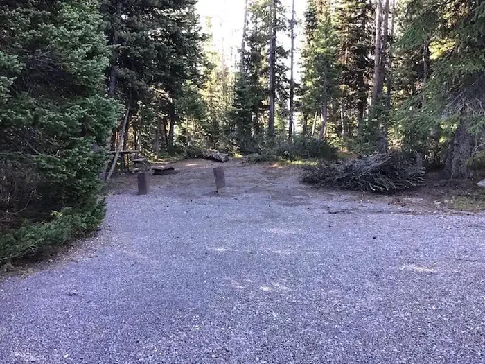 Lewis Lake site #38