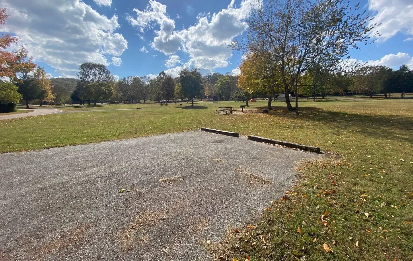 Site# 11
