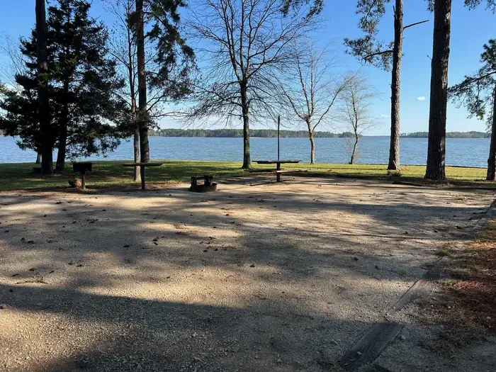 49