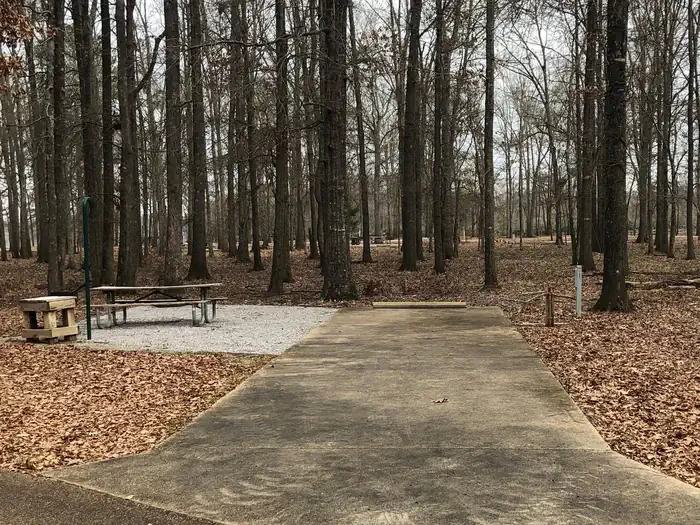 153