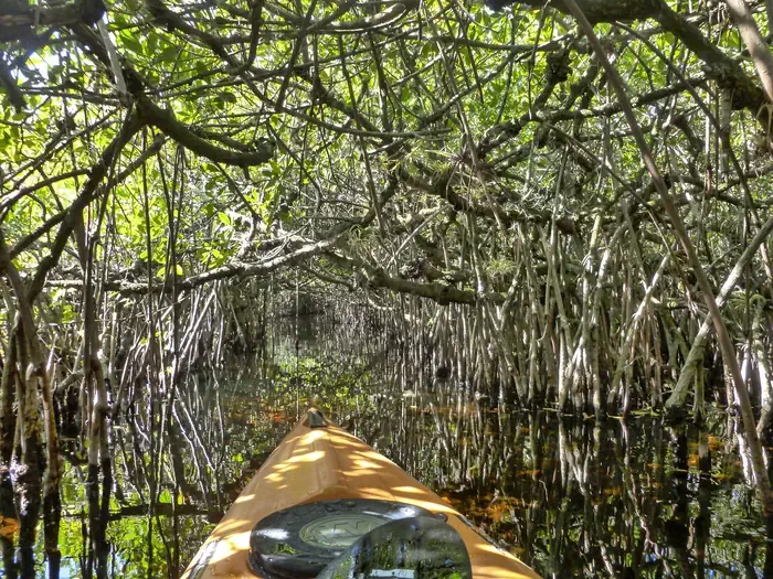 Everglades Backcountry Wilderness Camping Permits