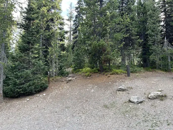 Lewis Lake site #4