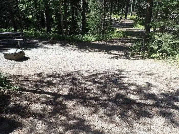 D185