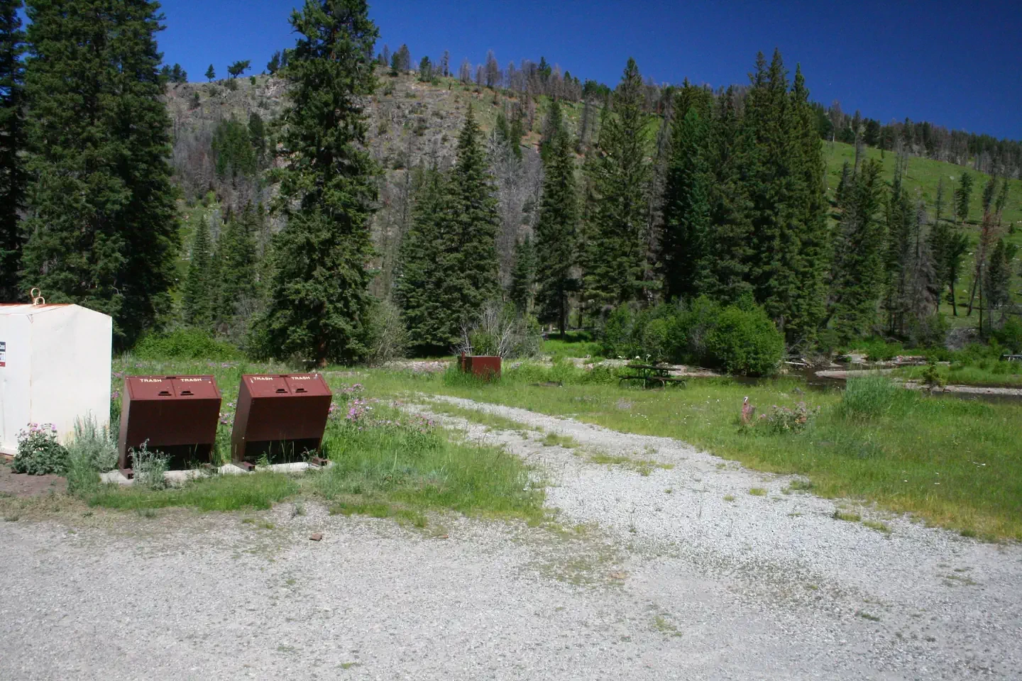 Slough Creek site #7