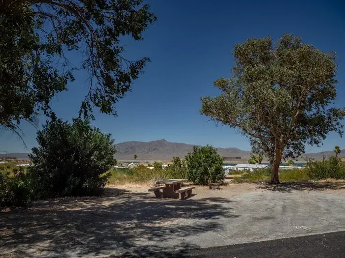 Site 41