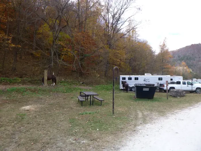 36 - Horse Site