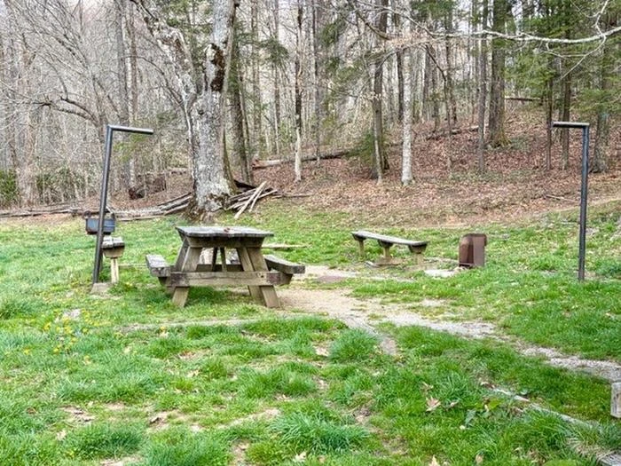 Swan Cabin Group Camp