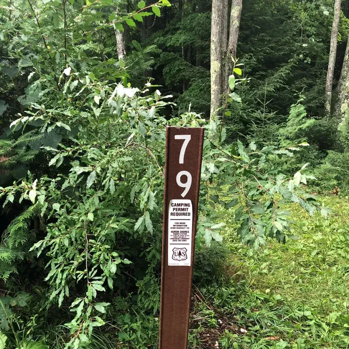 079W