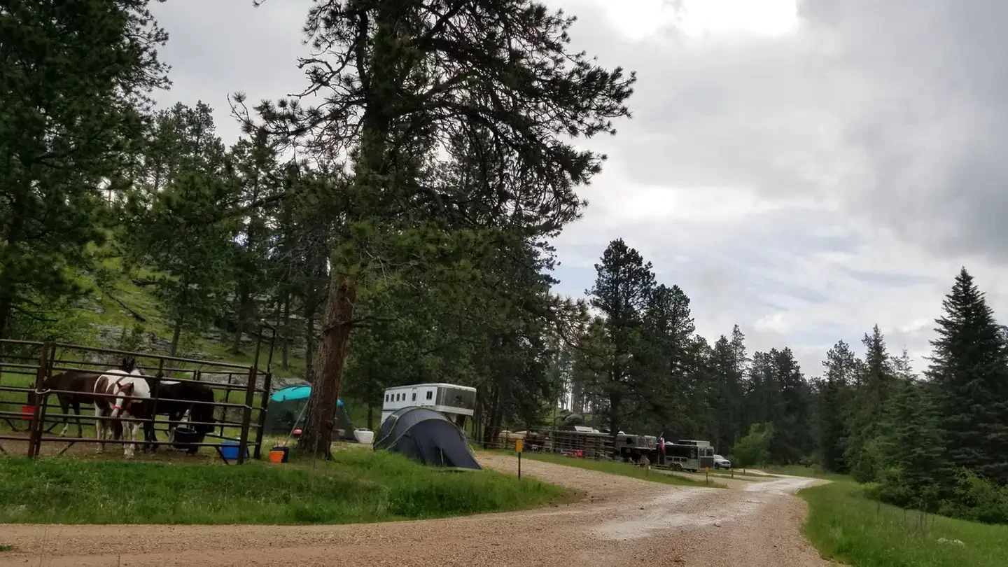 Willow Creek Horse Camp