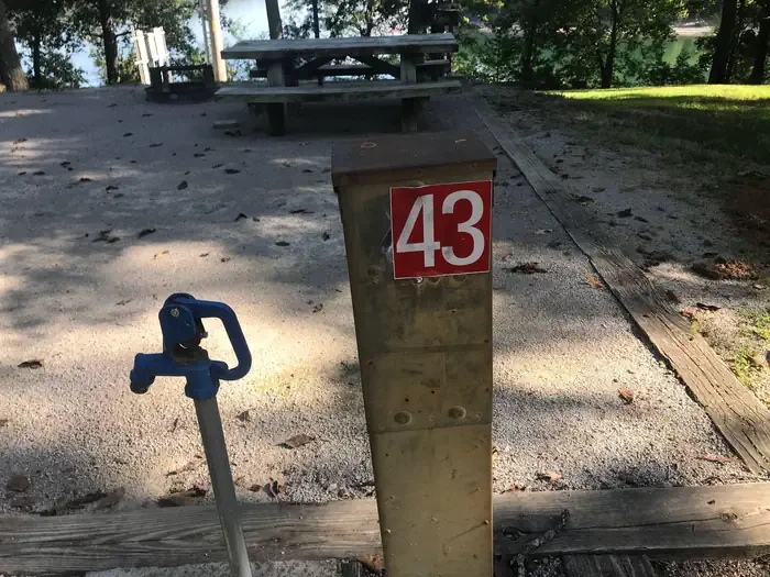 43