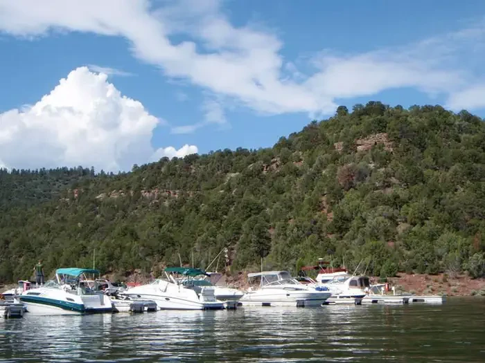 Cedar Springs Campground
