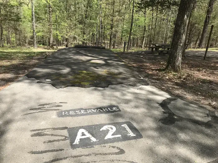 A21