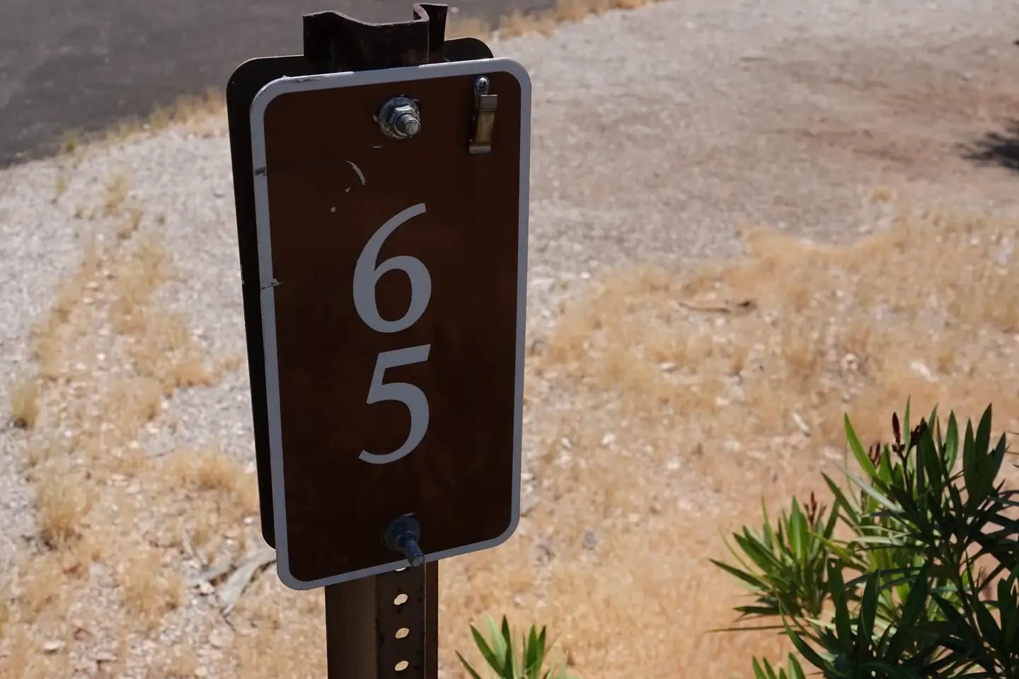 Site 65