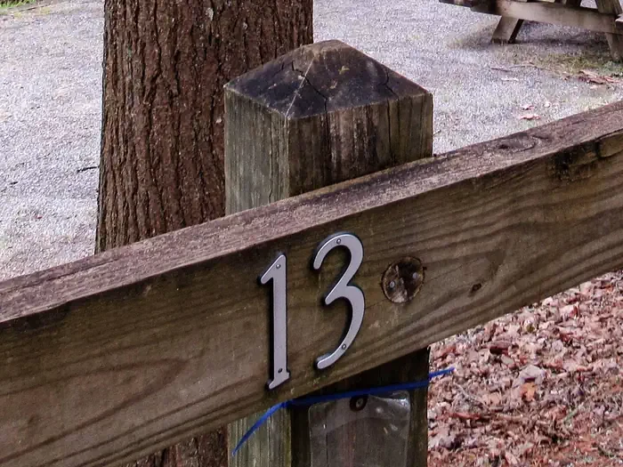 13