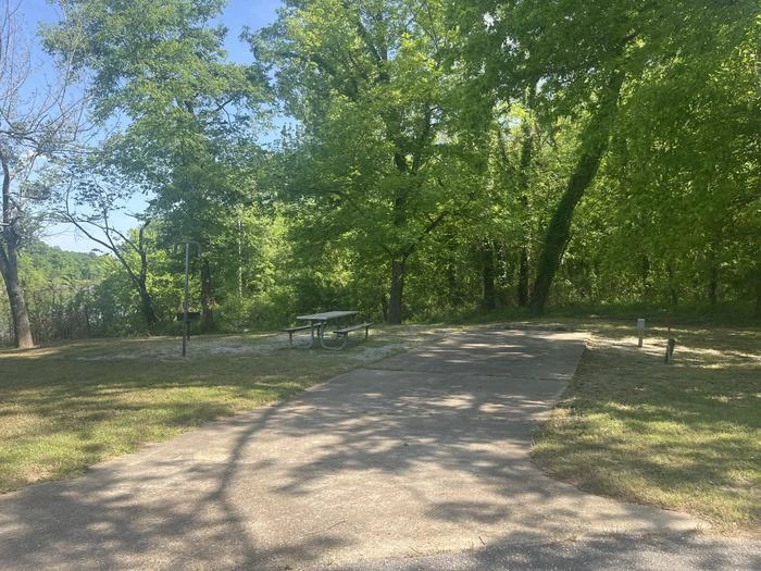 Site 41