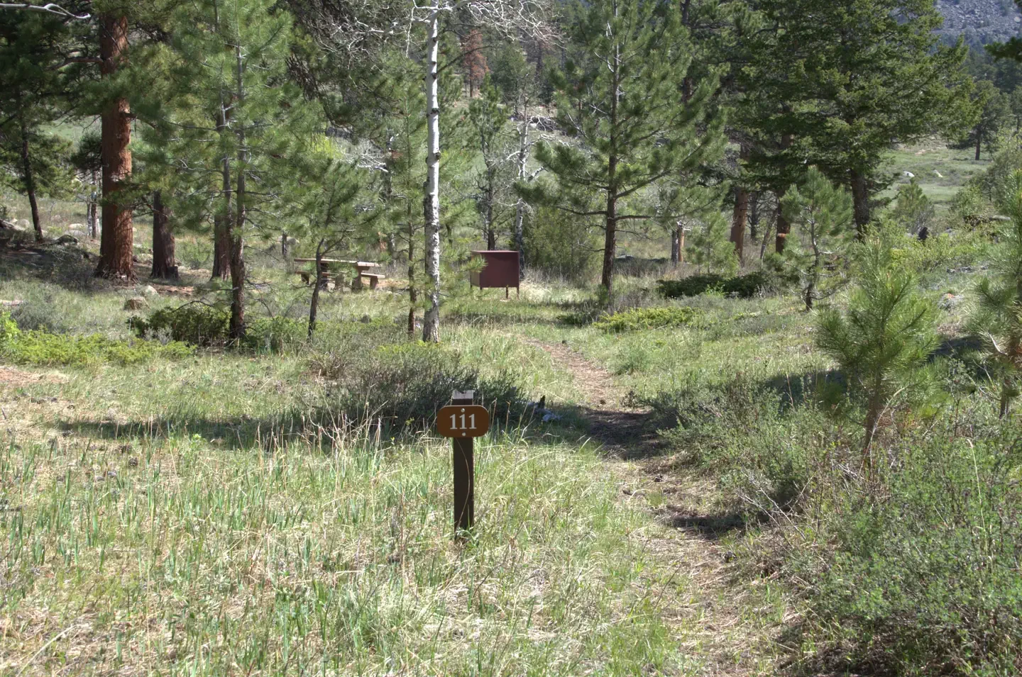 A111