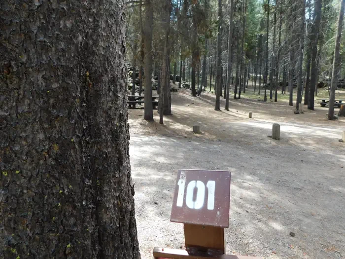 101