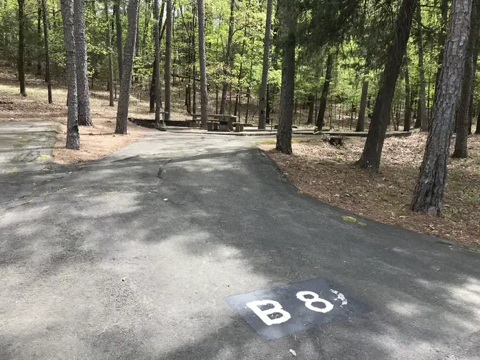 B08