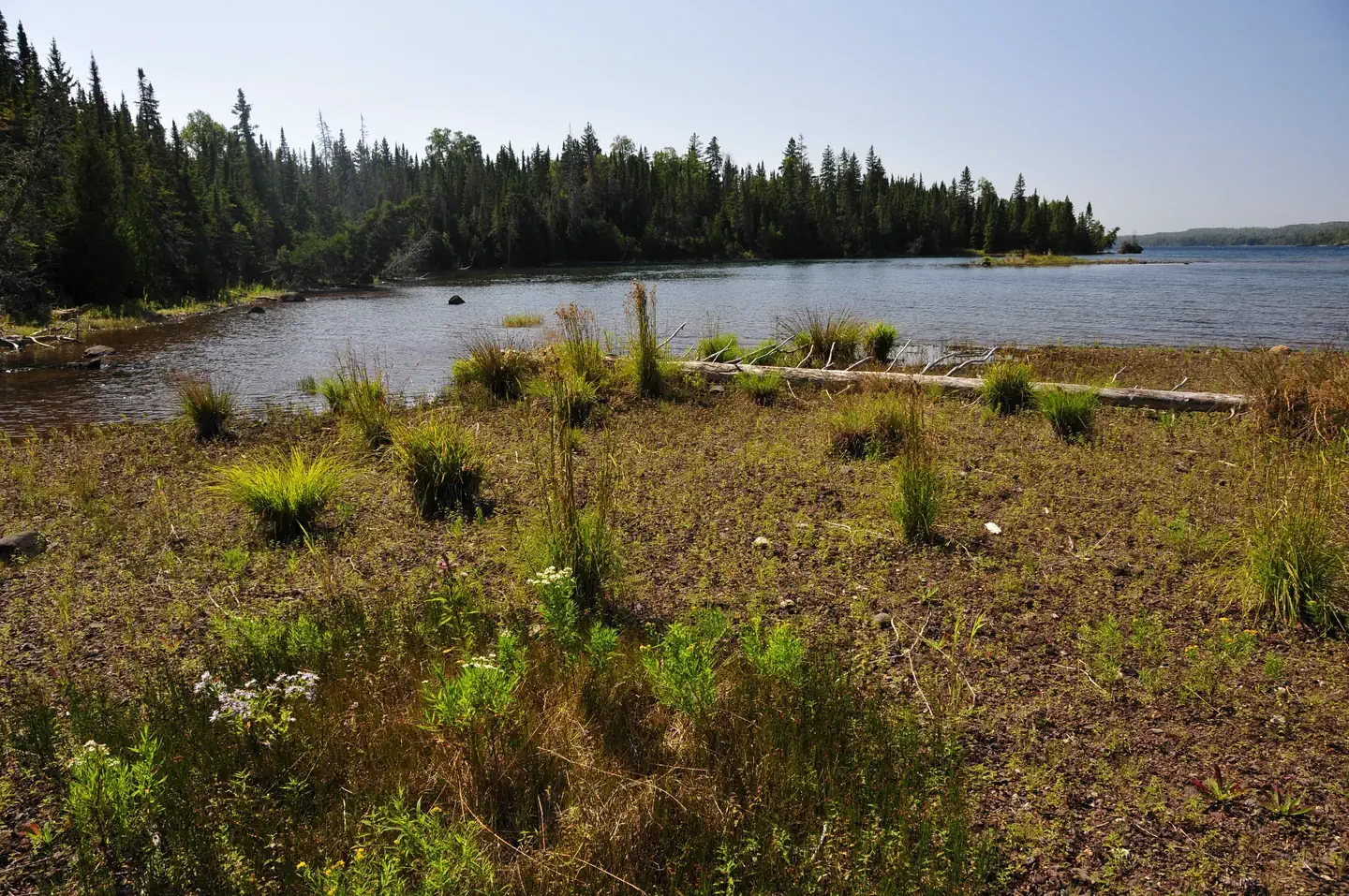 Caribou Island Campground