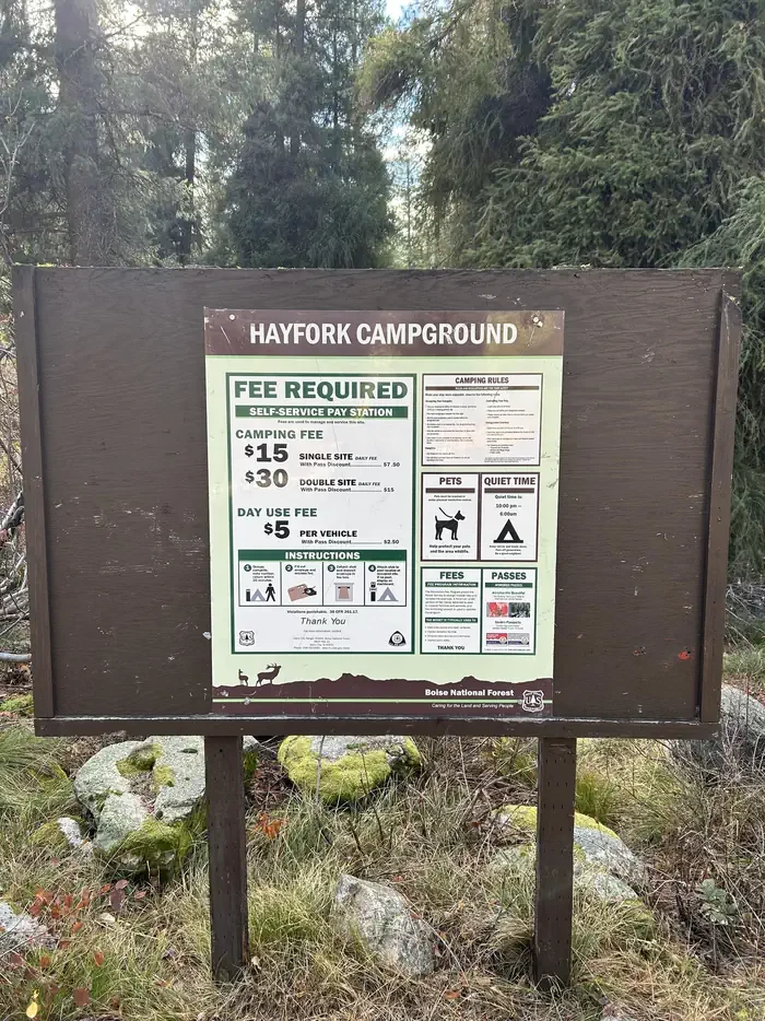 Hayfork Group Cg