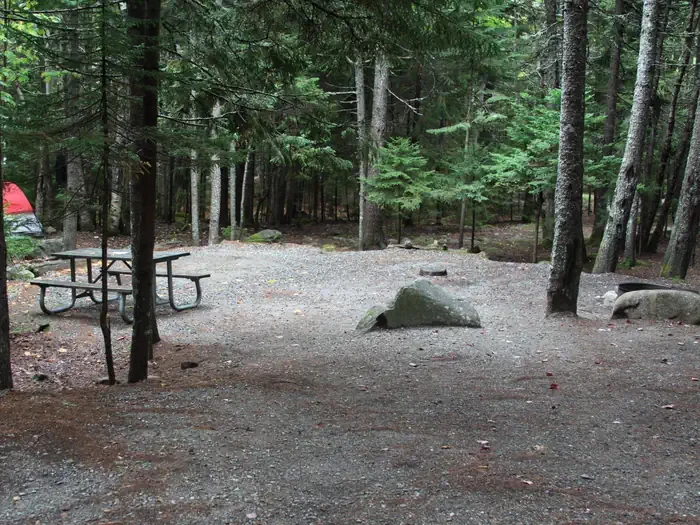 B115