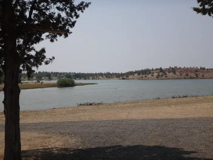 Willow Group Site