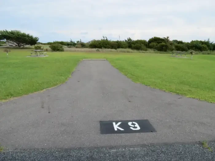 K009