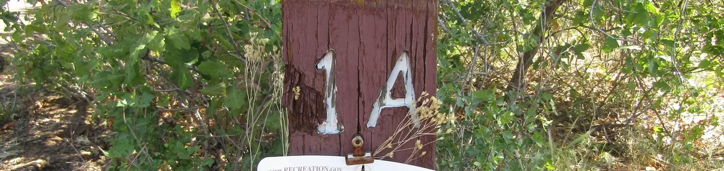 1 (Group Site)