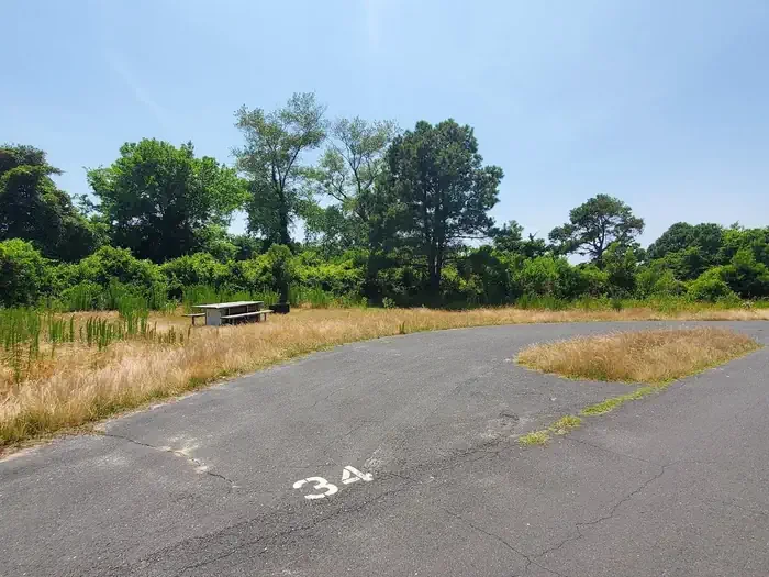 B34