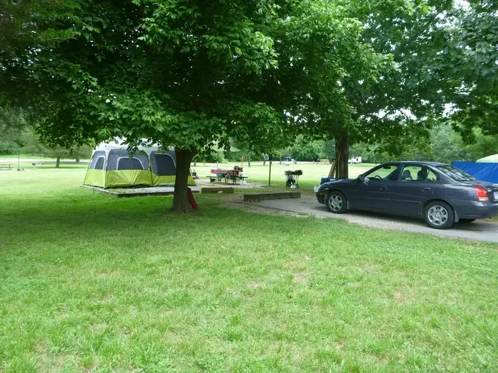 Site# 19