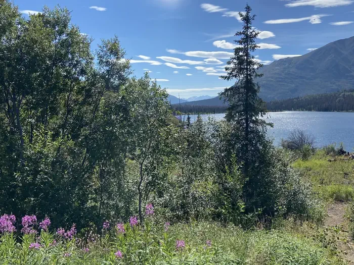 Romig Cabin