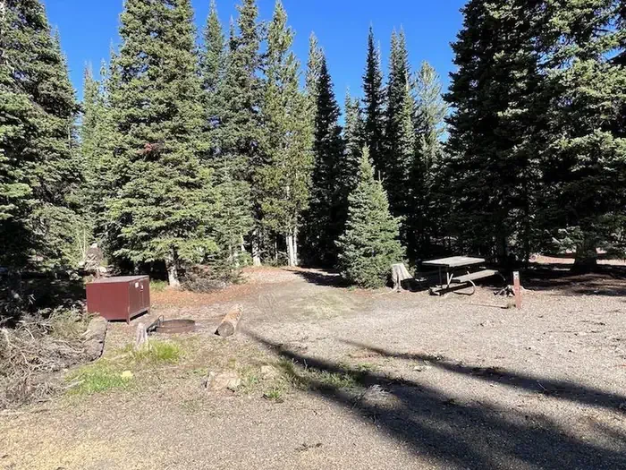 Lewis Lake site #41
