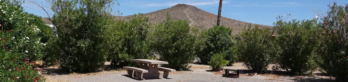 Site 8