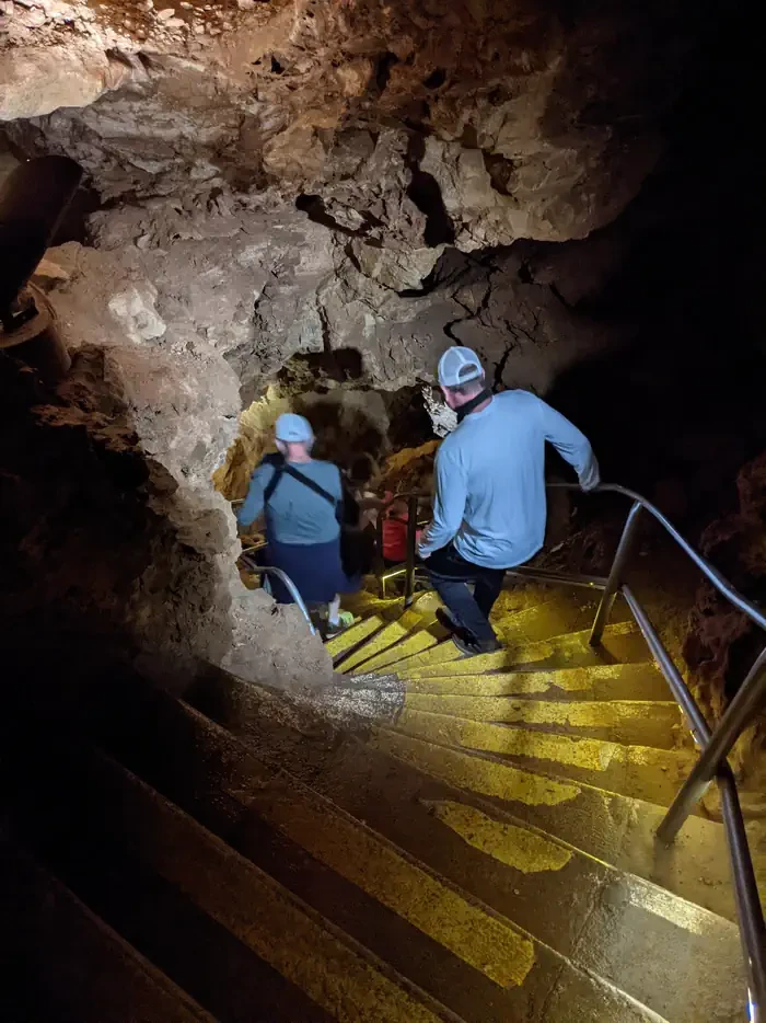 Wind Cave National Park Tours