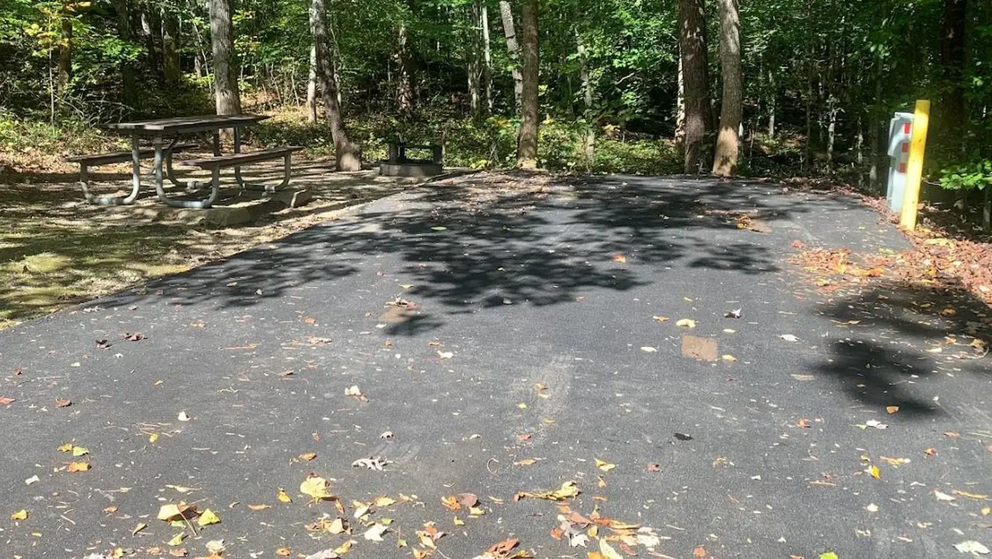 B-20