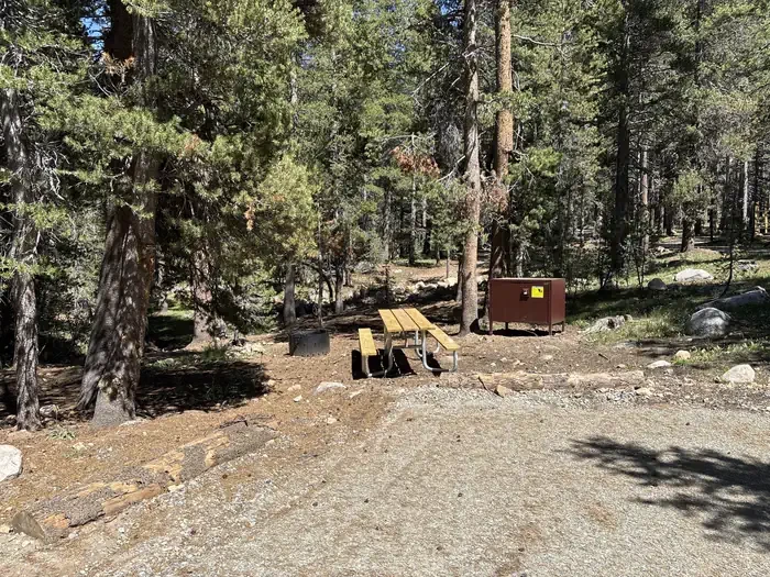 E008