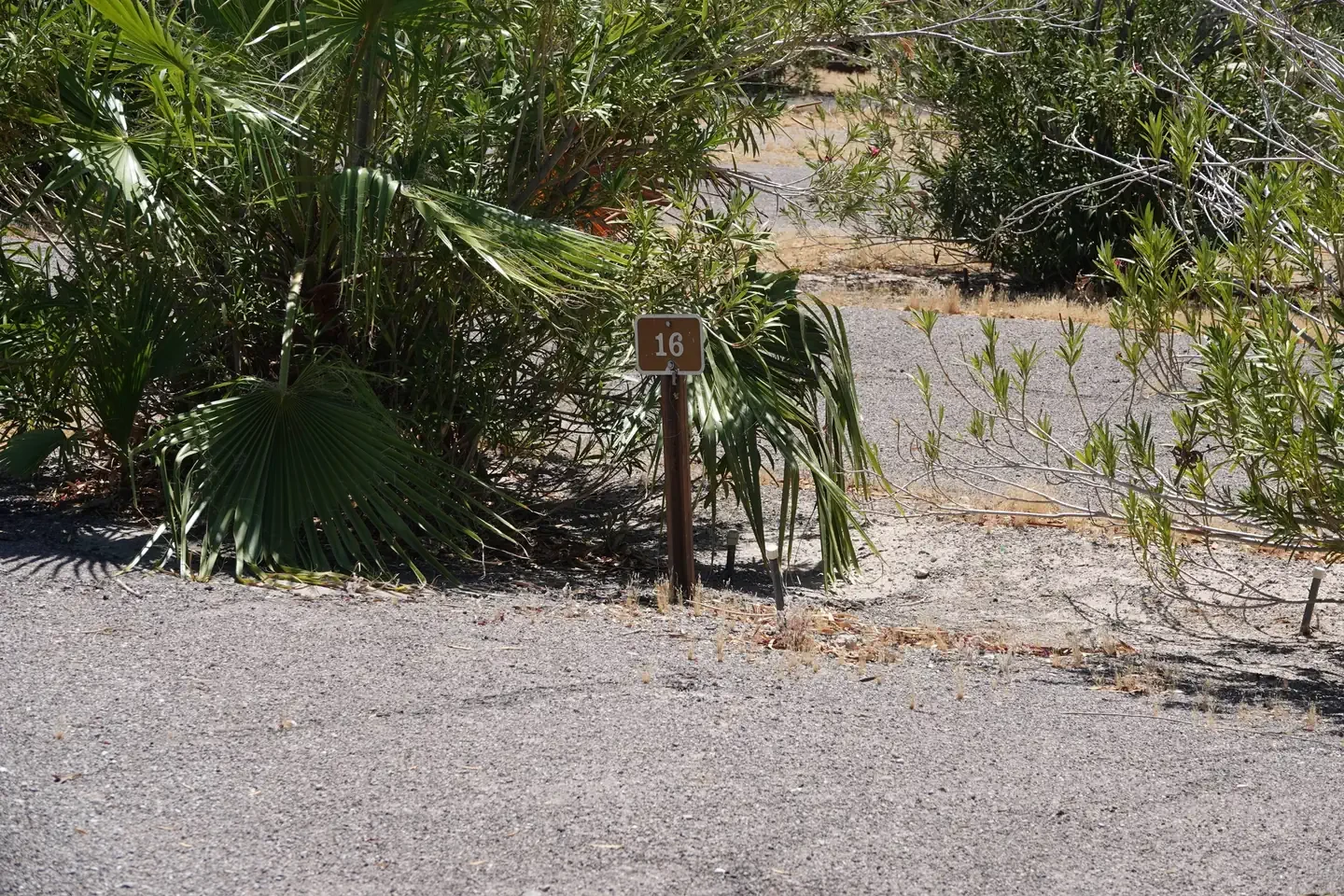 Site 16