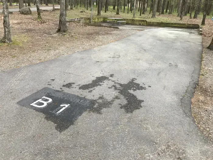 B01
