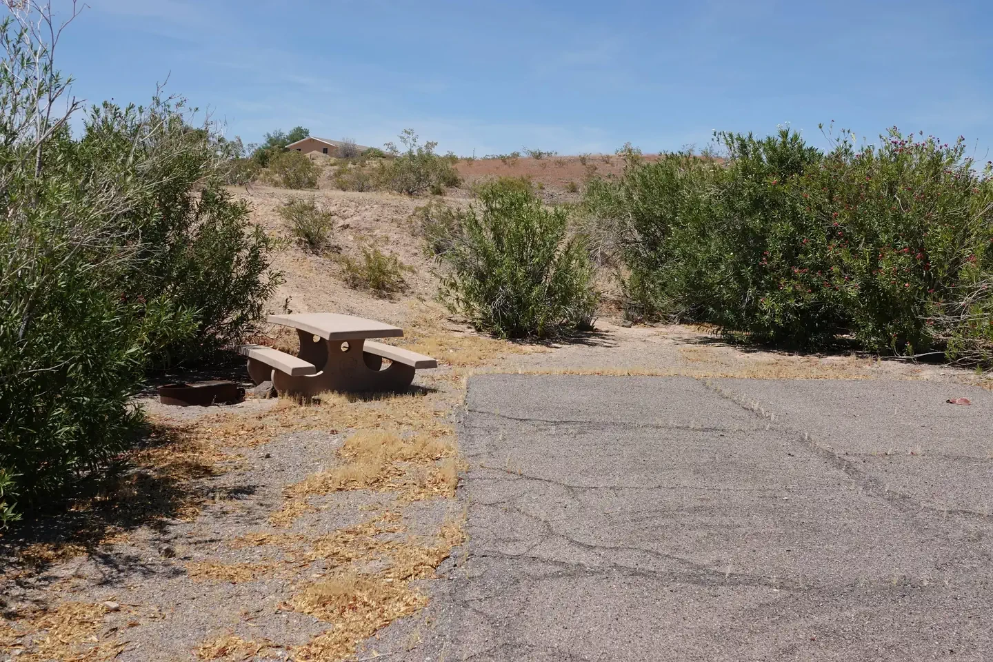Site 18