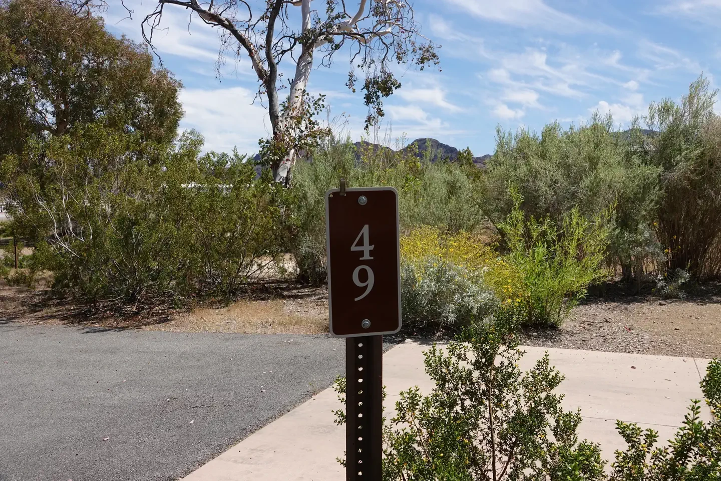 Site 49