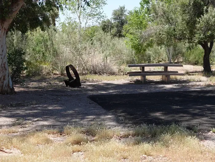 Site 41
