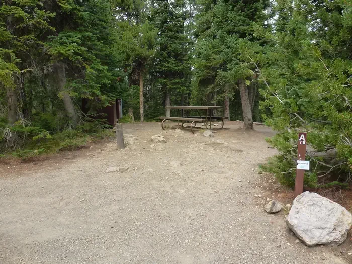 Lewis Lake site #76
