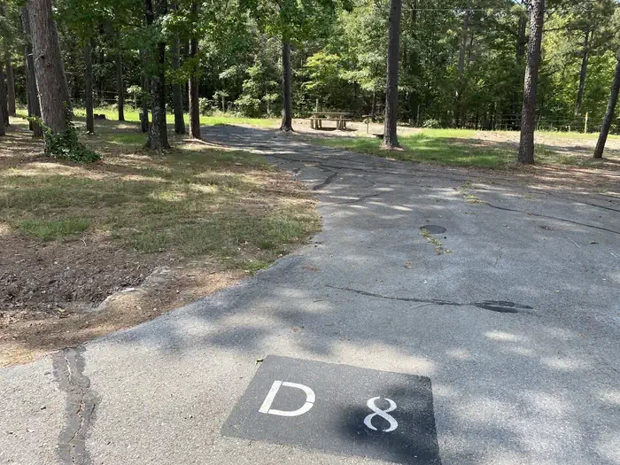 D08
