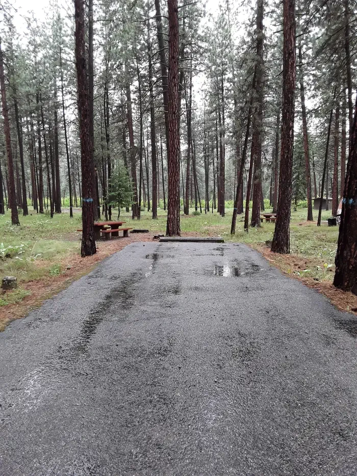 Quartz Flat Campground (MT)