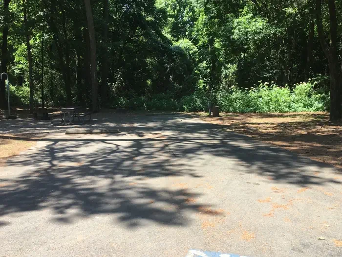 D14