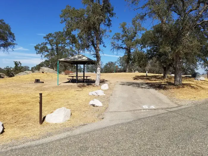 64