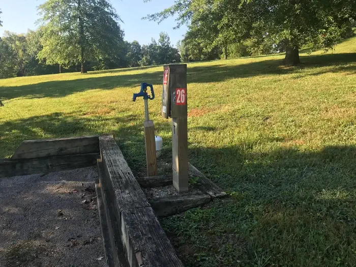 26