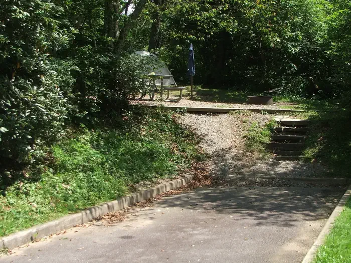 C03