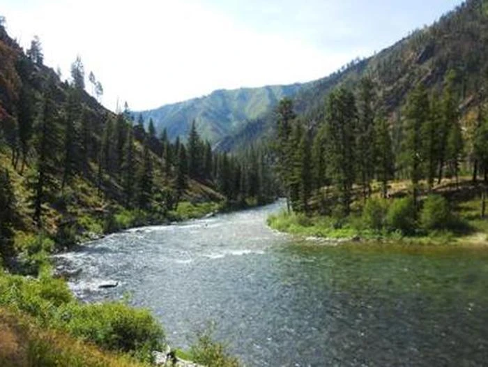 Middle Fork Of The Salmon (4 Rivers)