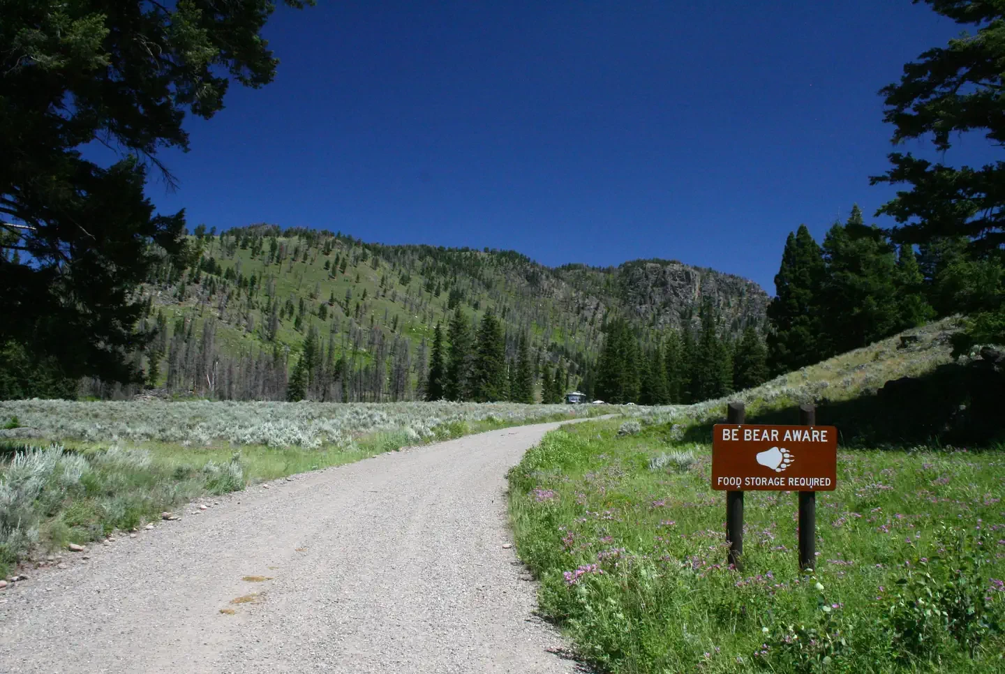 Slough Creek Campground